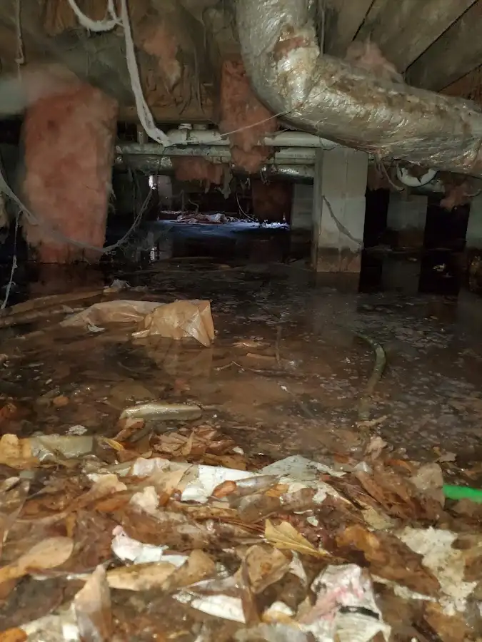 Crawl space flood assessment for Leak Detection & Repair in Briar Chapel